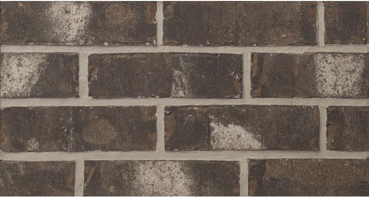 3 x 10 BRICK - SANTA MONICA