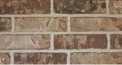 3 x 10 BRICK - MOCHA