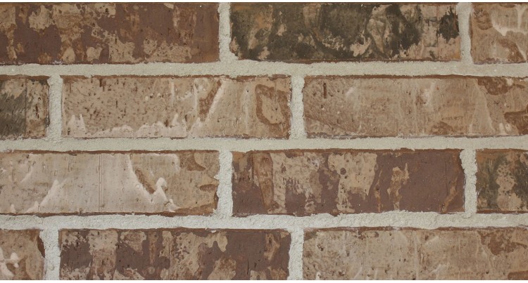 3 x 10 BRICK - MOCHA