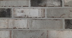 3 x 10 BRICK - ENGLISH DOVE